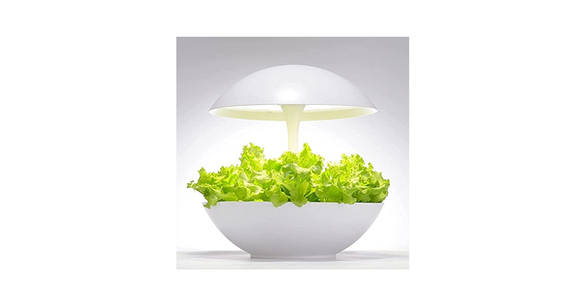 Amazon.co.jp: 灯菜 LED水耕栽培キット Akarina01 (OMA01) : DIY